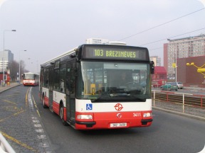 Autobusy.JPG