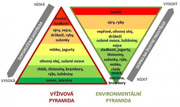 Soubor:Výživová pyramida.jpg