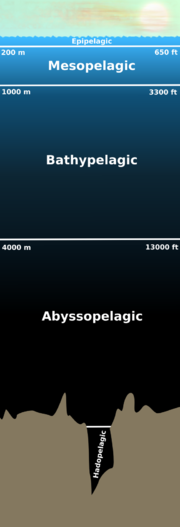 Soubor:Profil.png