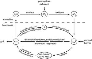 Kolobeh siry schema 01.jpg