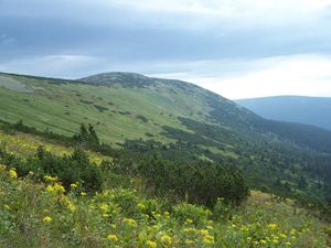 Krkonoše-08-2008 012.jpg