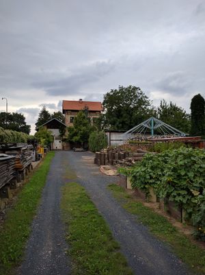 IMG 20160802 152045.jpg