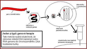 Genovaterapie.jpg