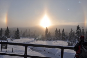 Raseliniste Jizerky.jpg