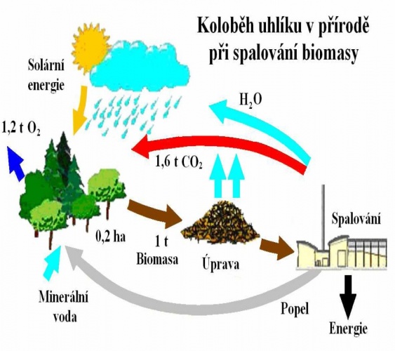 Koloběh oxidu uhličitého při spalováni biomasy