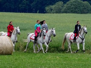 Jana Pichlíková 01.jpeg